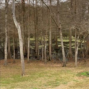 Meet your Posher, Hart